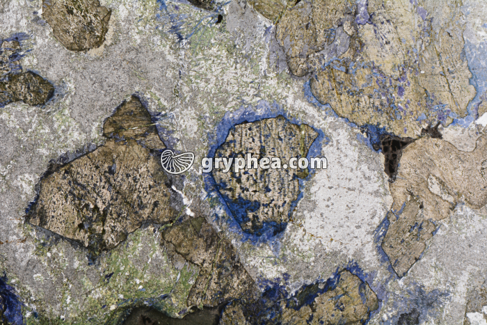 Métagabbro à Glaucophanite LPNA x3,5 - gryphea.org